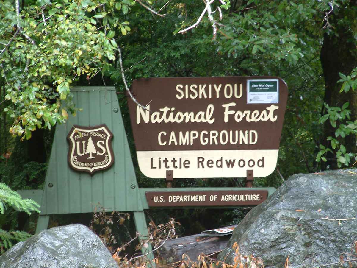 Little_Redwood_Campground_1 Oregon RV Rentals RV Rentals Eugene Oregon